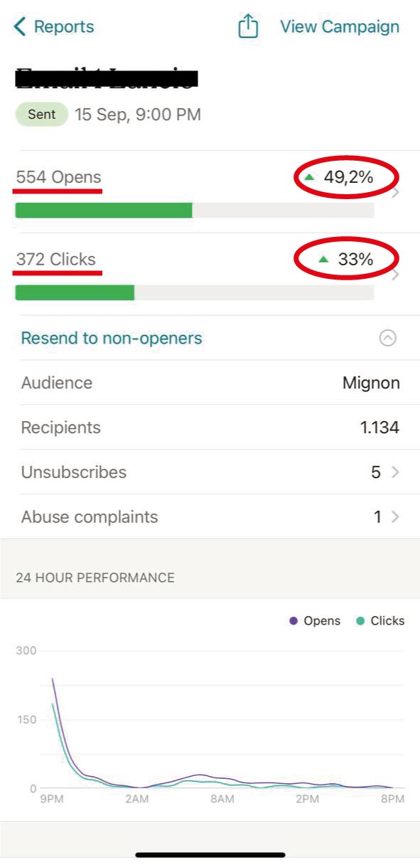 Report email 3